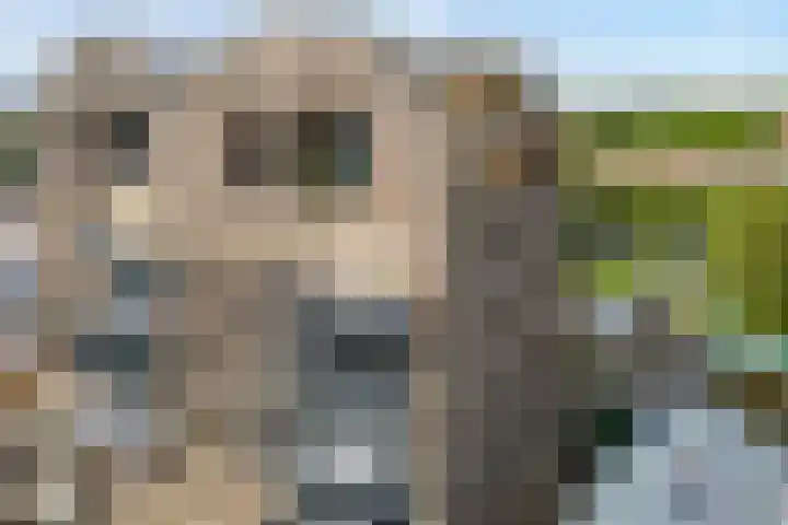 Friesewal 23 Zwolle thumbnail 35