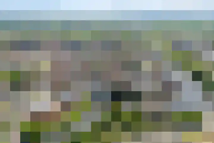 Friesewal 23 Zwolle thumbnail 36
