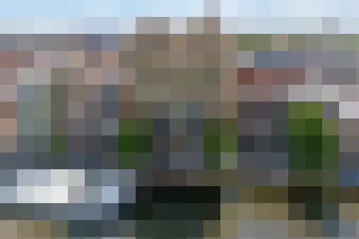 Friesewal 23 Zwolle thumbnail 37