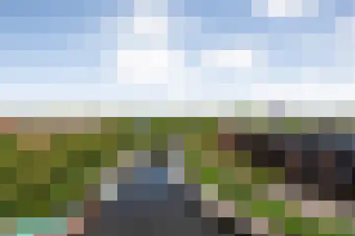 Friesewal 23 Zwolle thumbnail 38