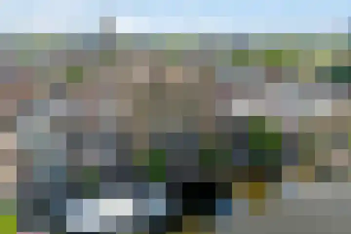 Friesewal 23 Zwolle thumbnail 5