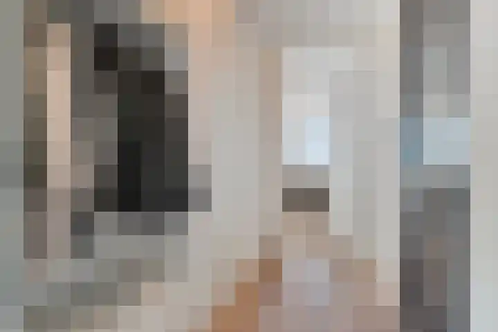 Friesewal 23 Zwolle thumbnail 6