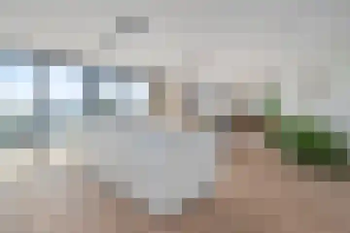 Friesewal 23 Zwolle thumbnail 7