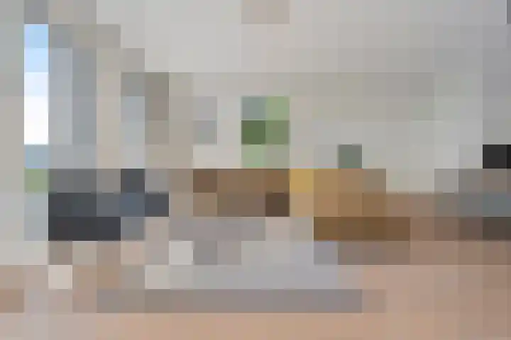 Friesewal 23 Zwolle thumbnail 9