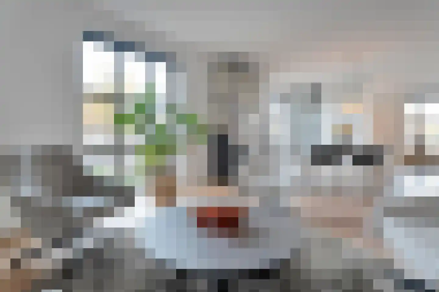 Friesewal 41 Zwolle thumbnail 10