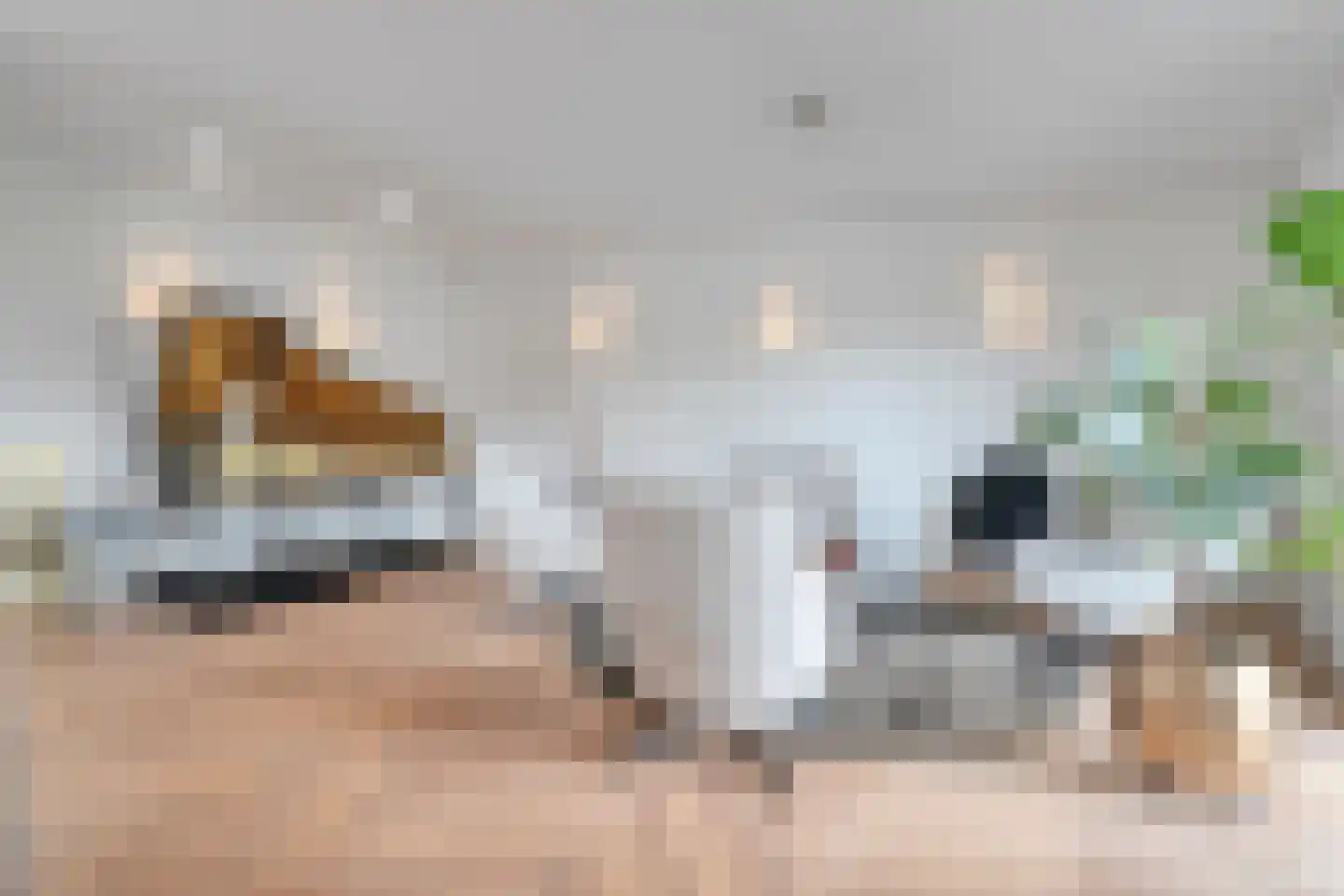 Friesewal 41 Zwolle thumbnail 11