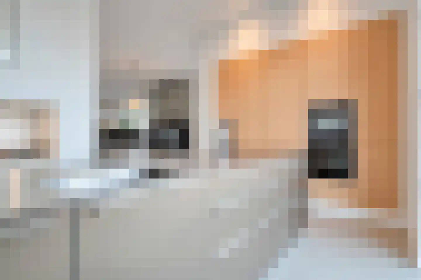 Friesewal 41 Zwolle thumbnail 18