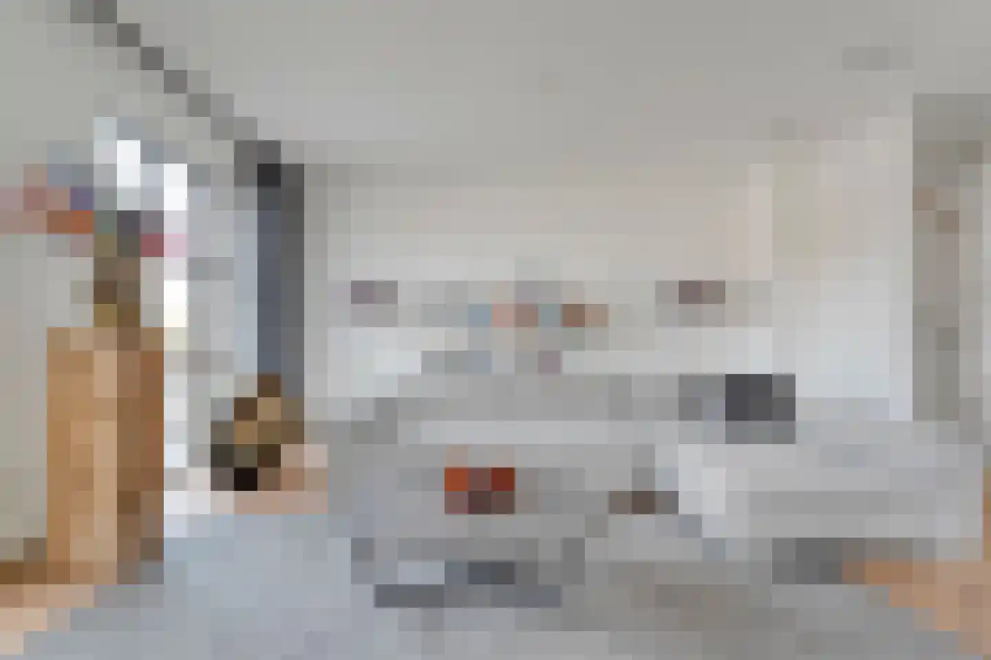 Friesewal 41 Zwolle thumbnail 22