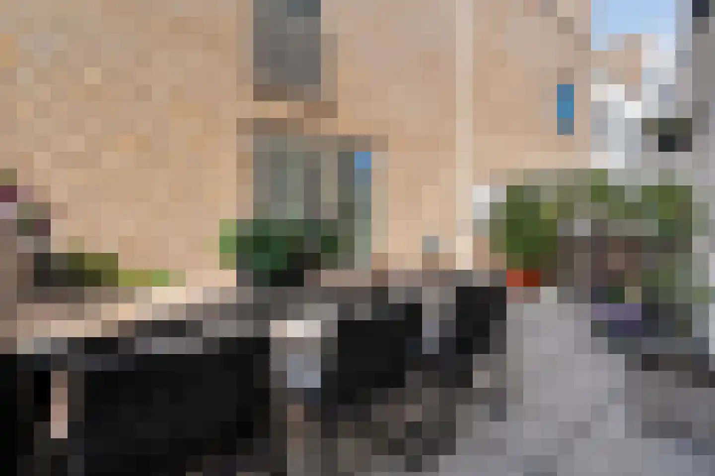 Friesewal 41 Zwolle thumbnail 30