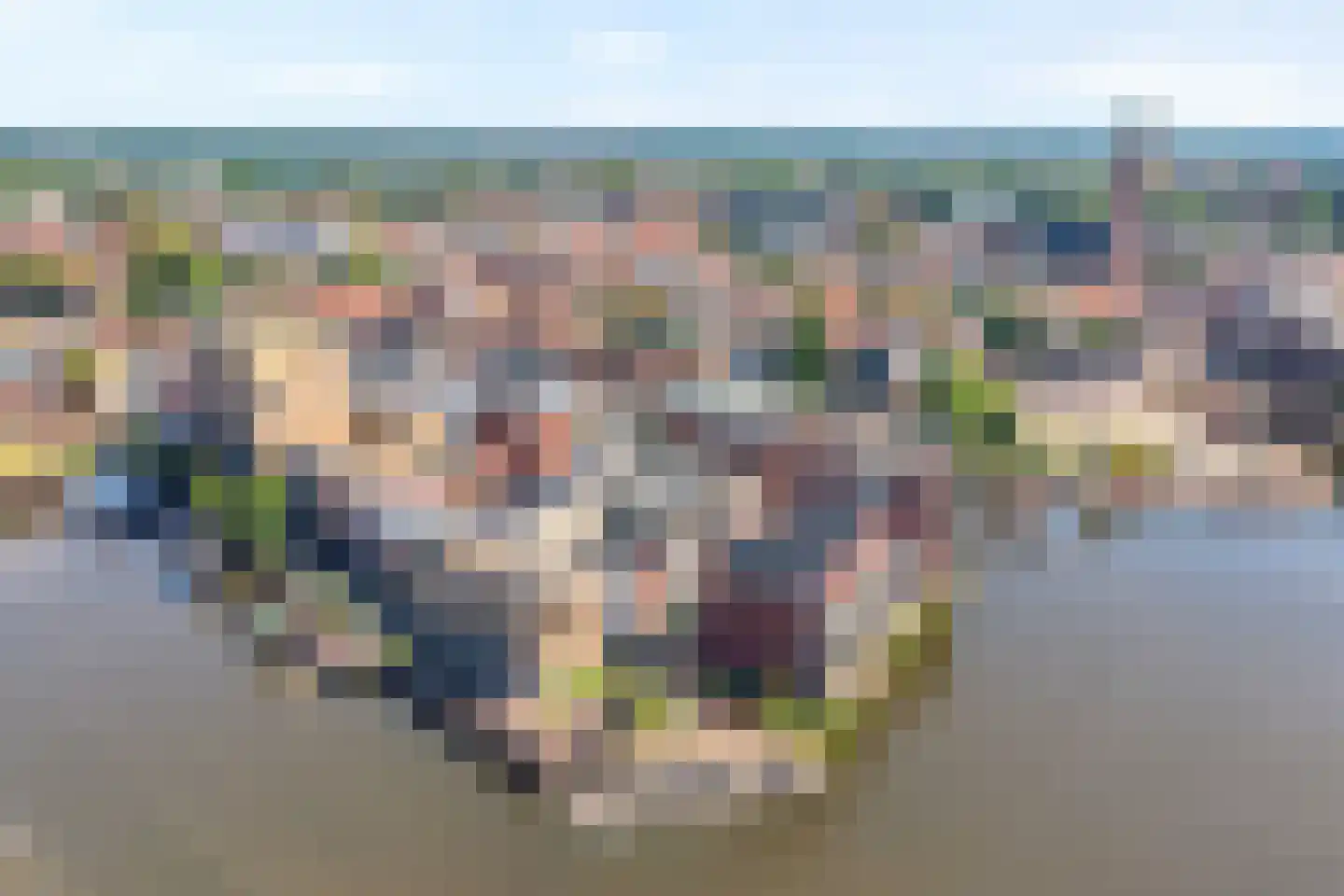 Friesewal 41 Zwolle thumbnail 4