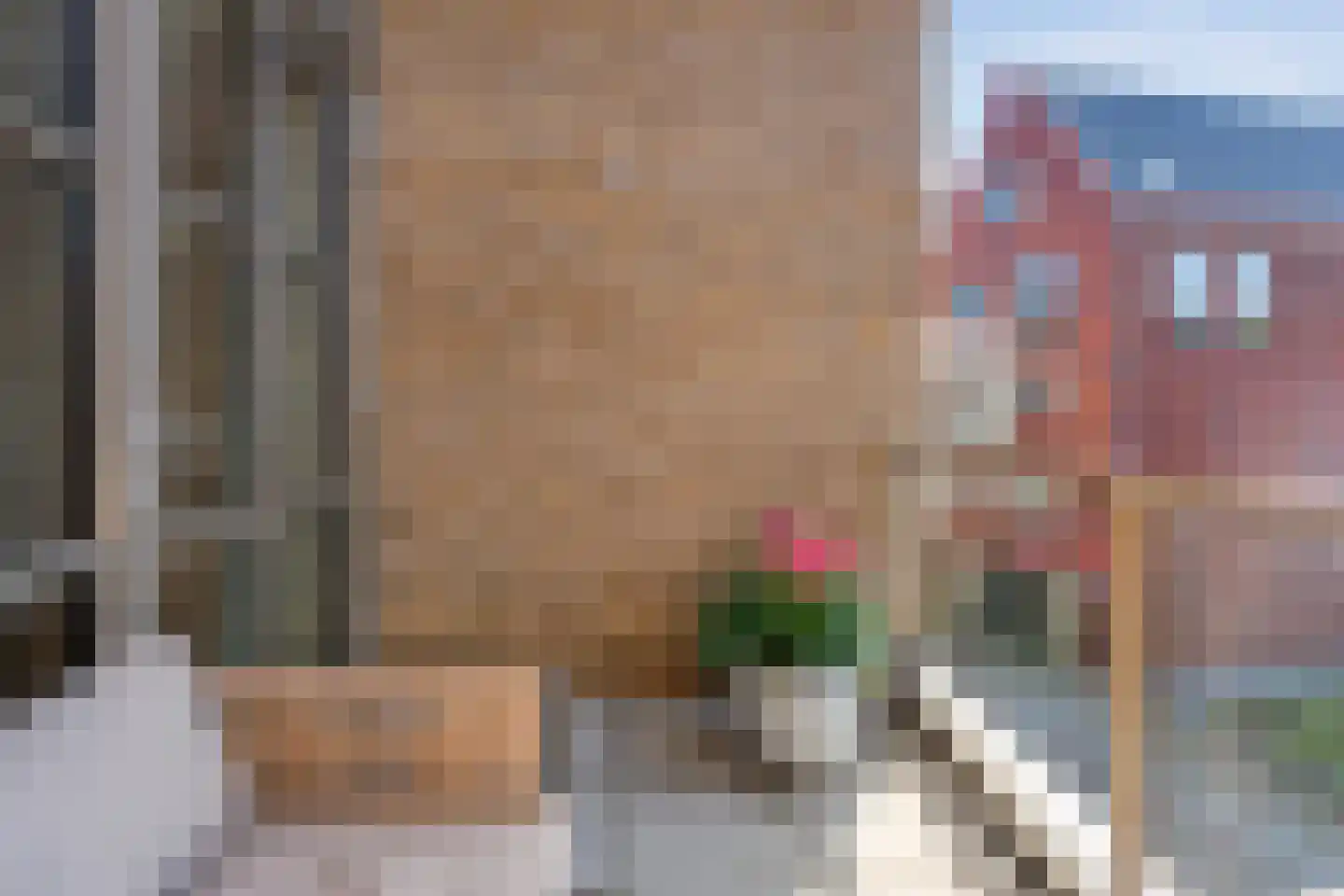 Friesewal 41 Zwolle thumbnail 42