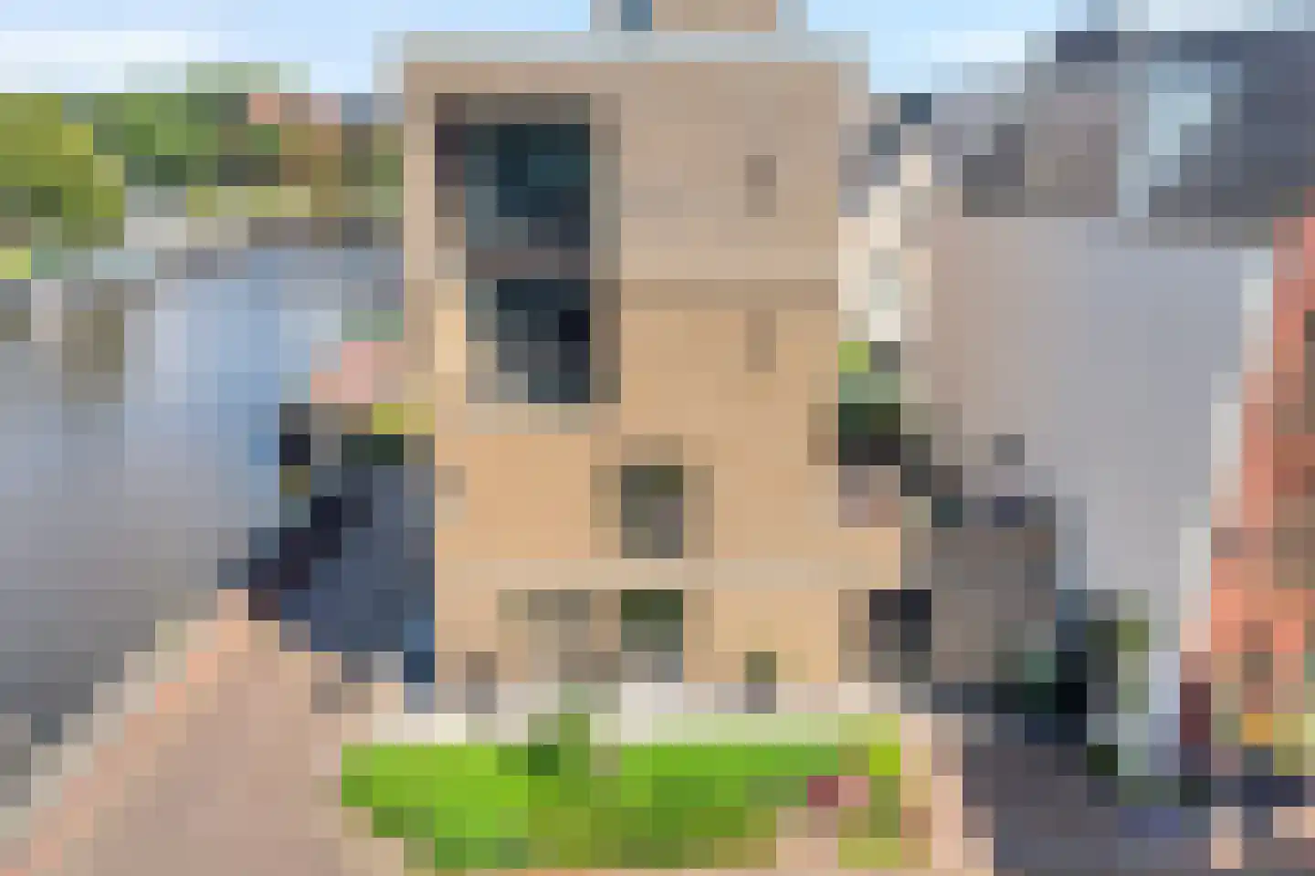 Friesewal 41 Zwolle thumbnail 53