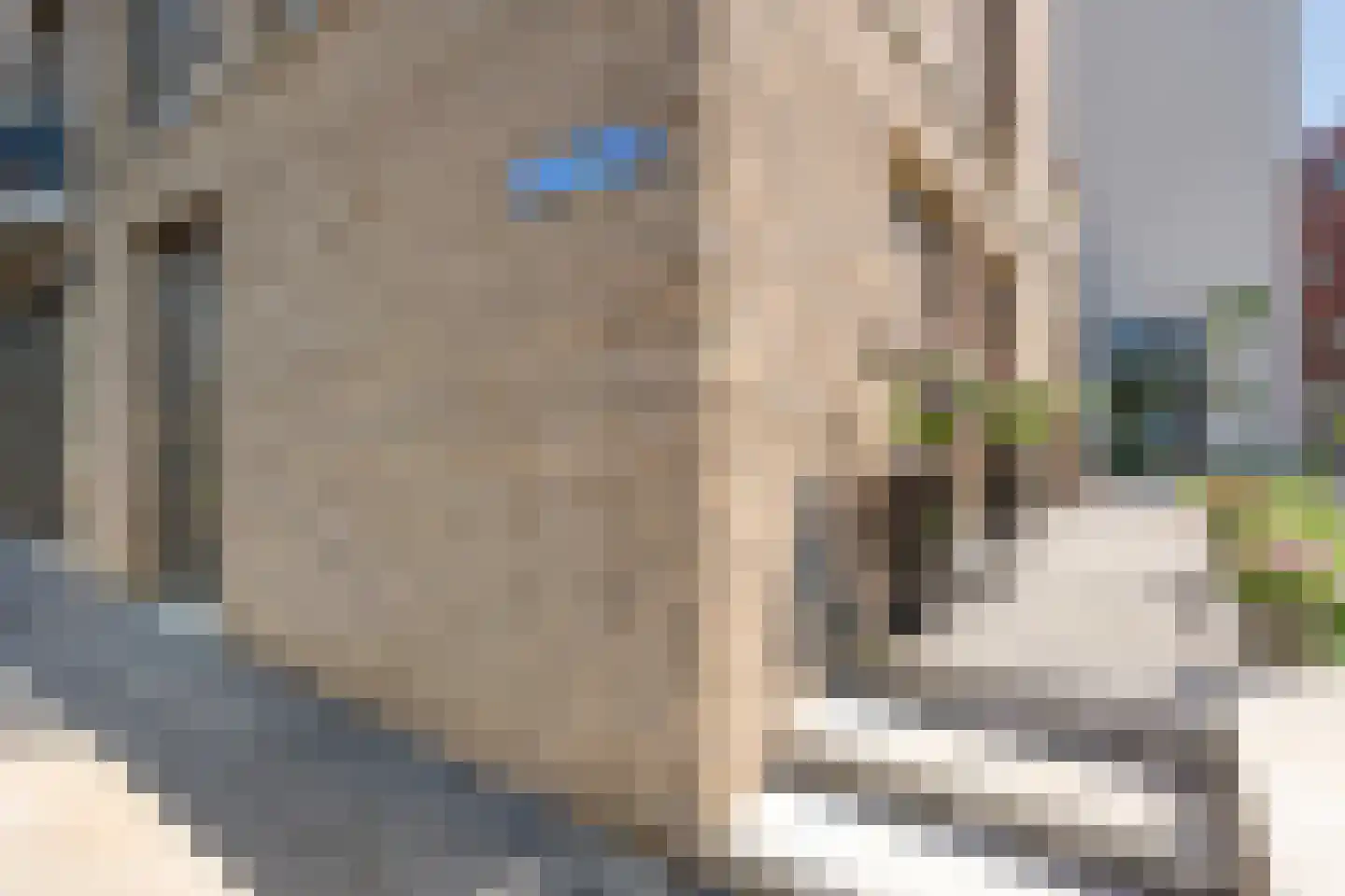 Friesewal 41 Zwolle thumbnail 54