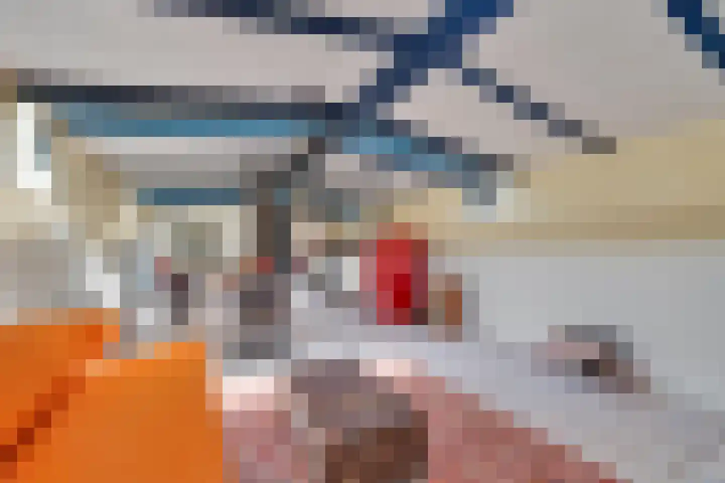 Friesewal 49 Zwolle thumbnail 15