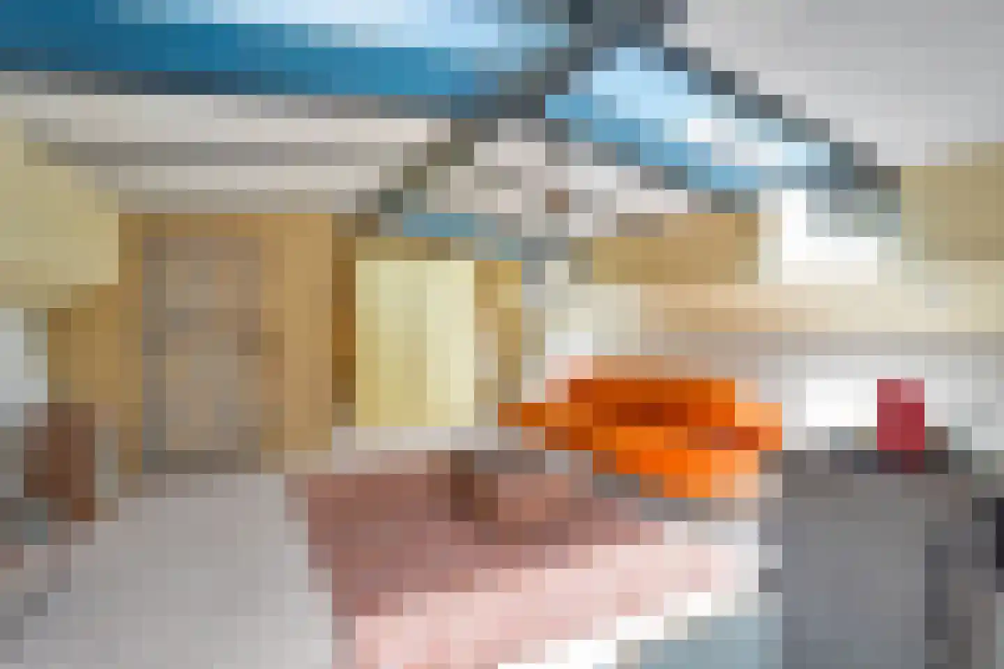 Friesewal 49 Zwolle thumbnail 17