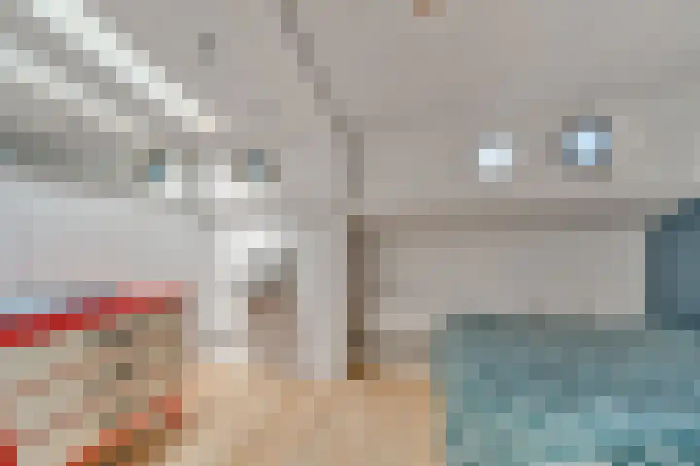Friesewal 49 Zwolle thumbnail 23