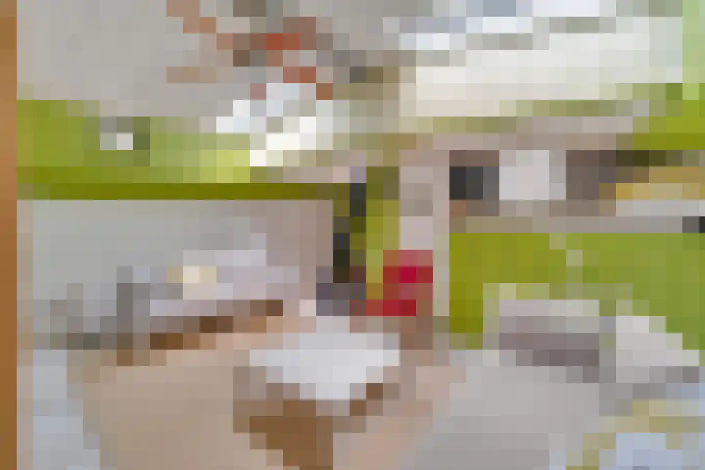 Friesewal 49 Zwolle thumbnail 24