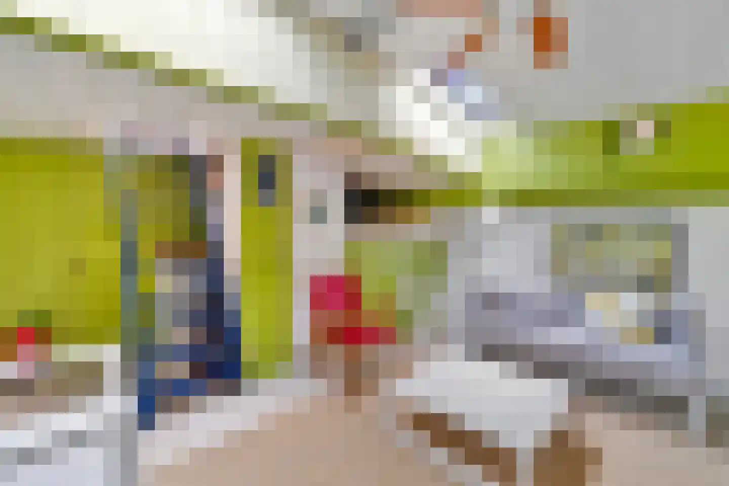 Friesewal 49 Zwolle thumbnail 25