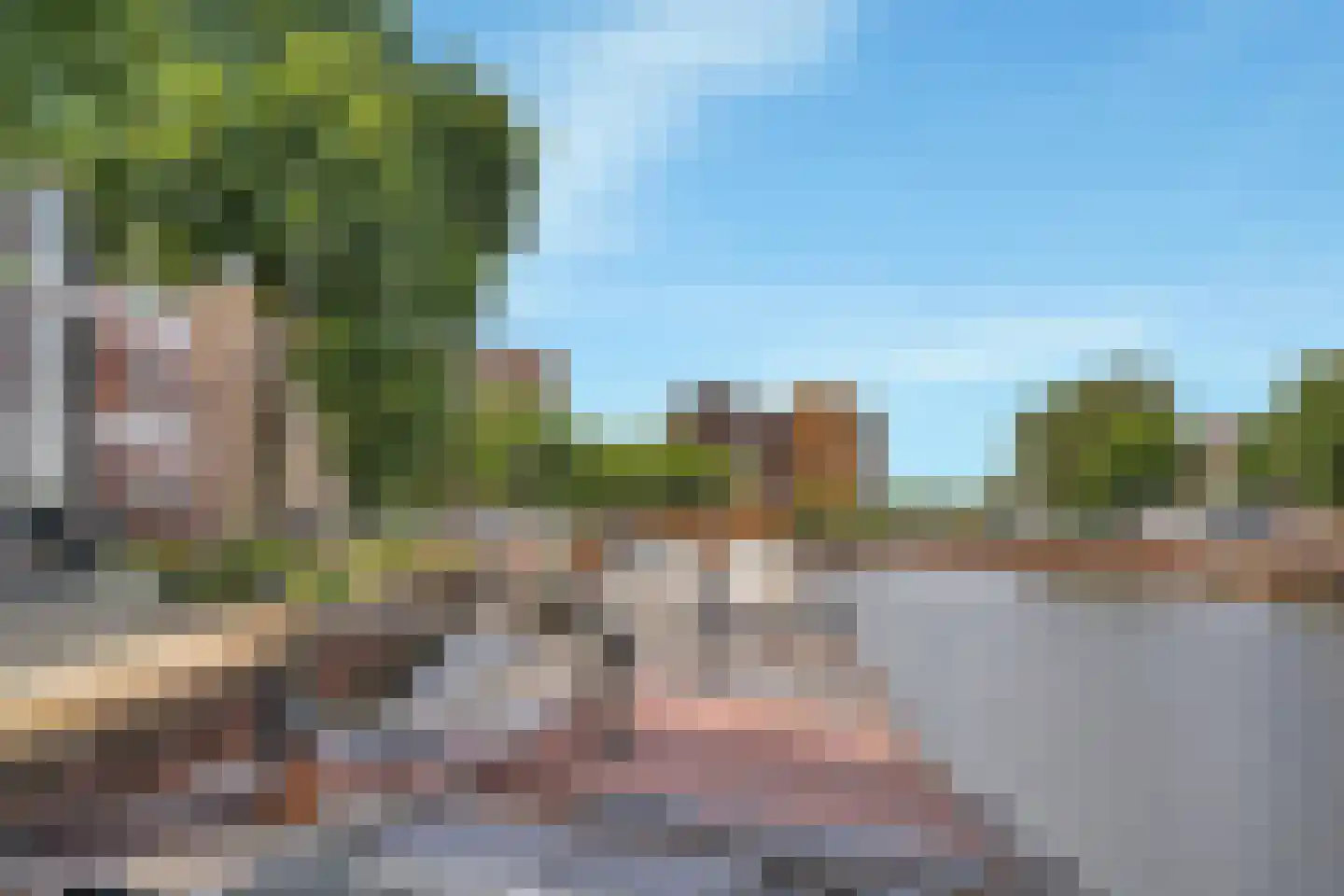 Friesewal 49 Zwolle thumbnail 5