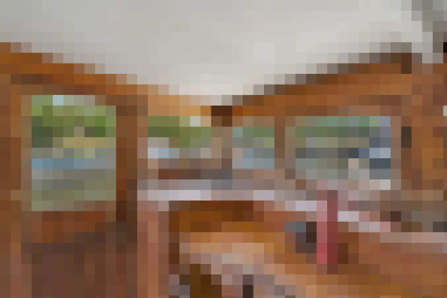 Friesewal 49 Zwolle thumbnail 9