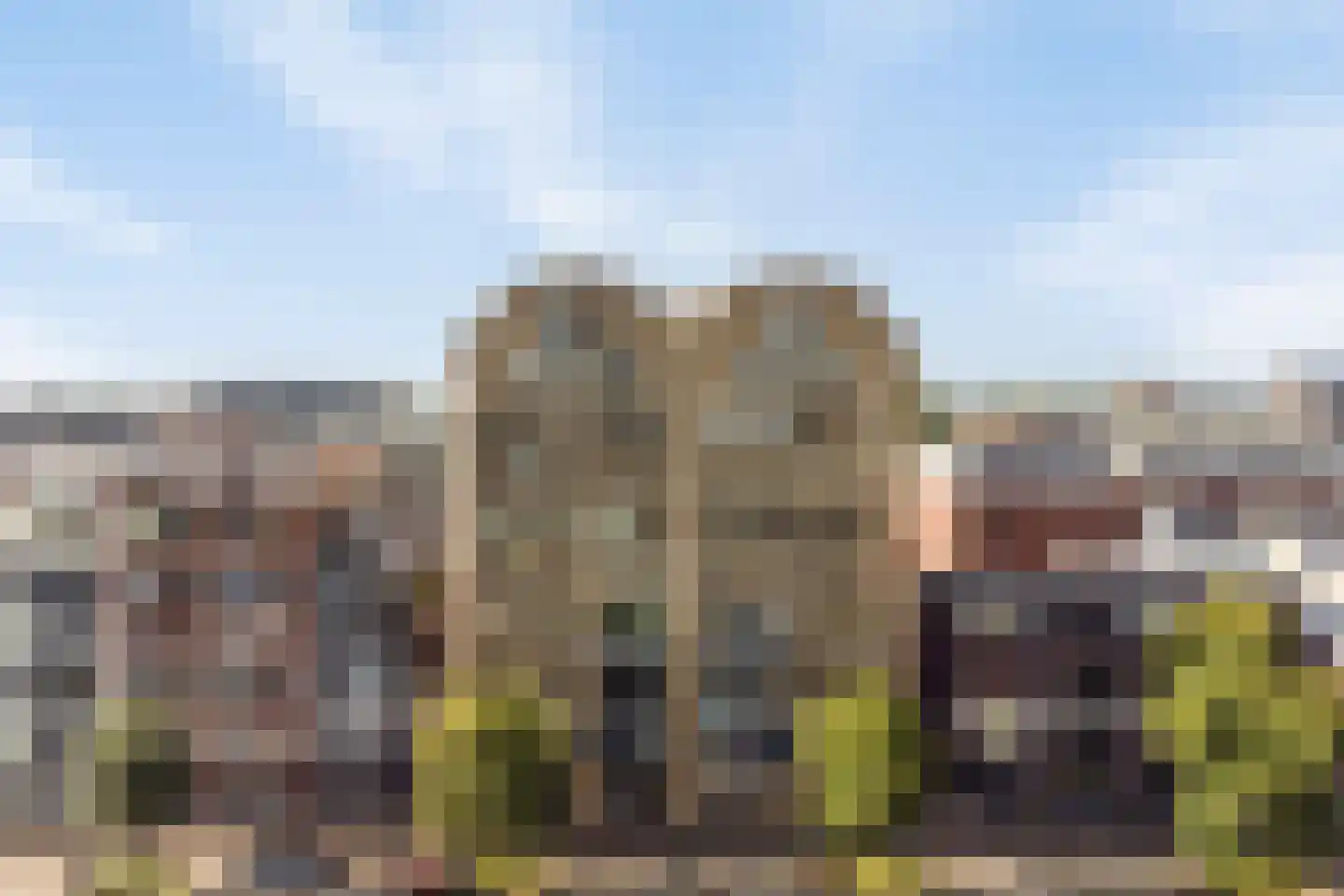 Friesewal 9 Zwolle