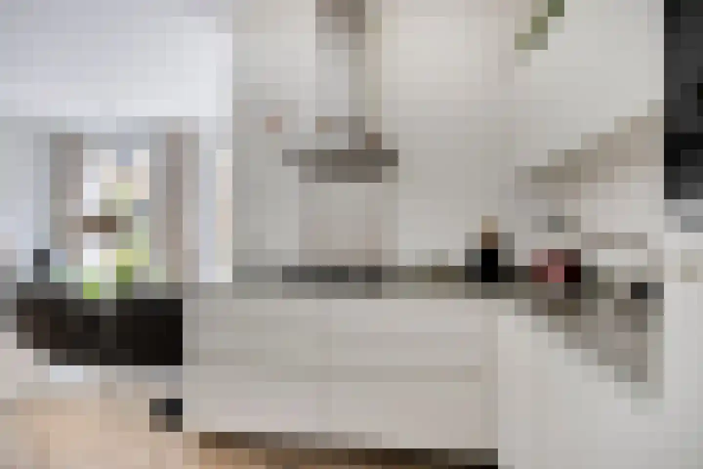 Friesewal 9 Zwolle thumbnail 11
