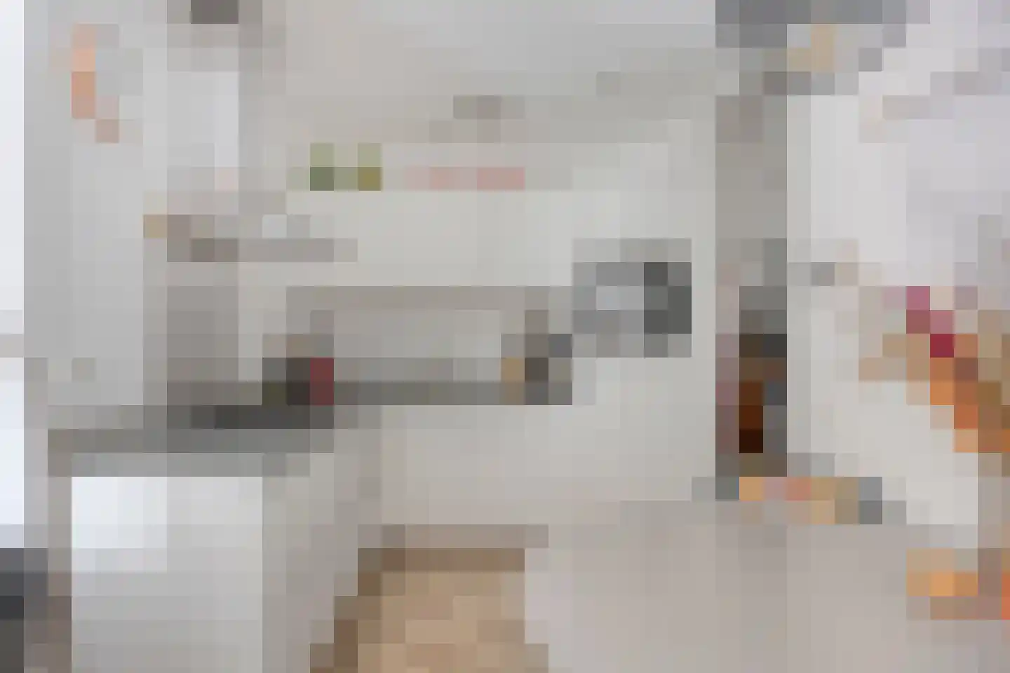 Friesewal 9 Zwolle thumbnail 13