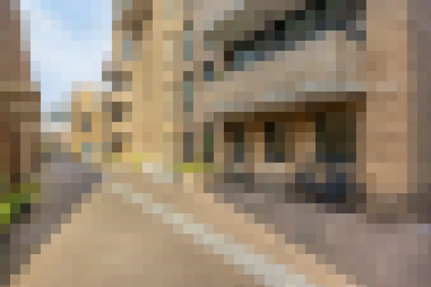 Friesewal 9 Zwolle thumbnail 22