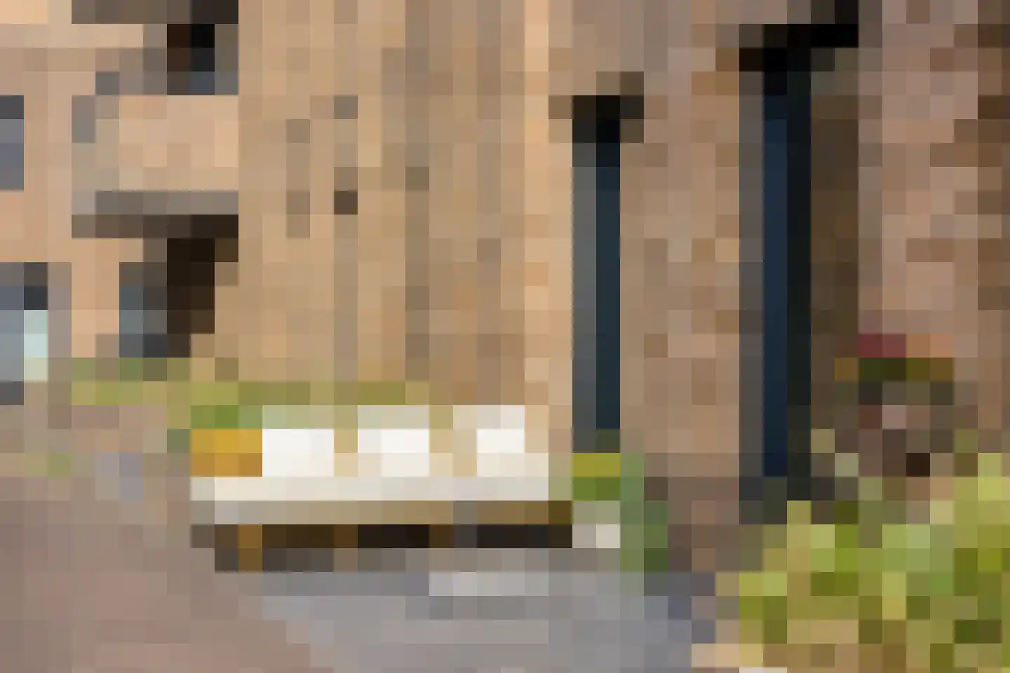 Friesewal 9 Zwolle thumbnail 26