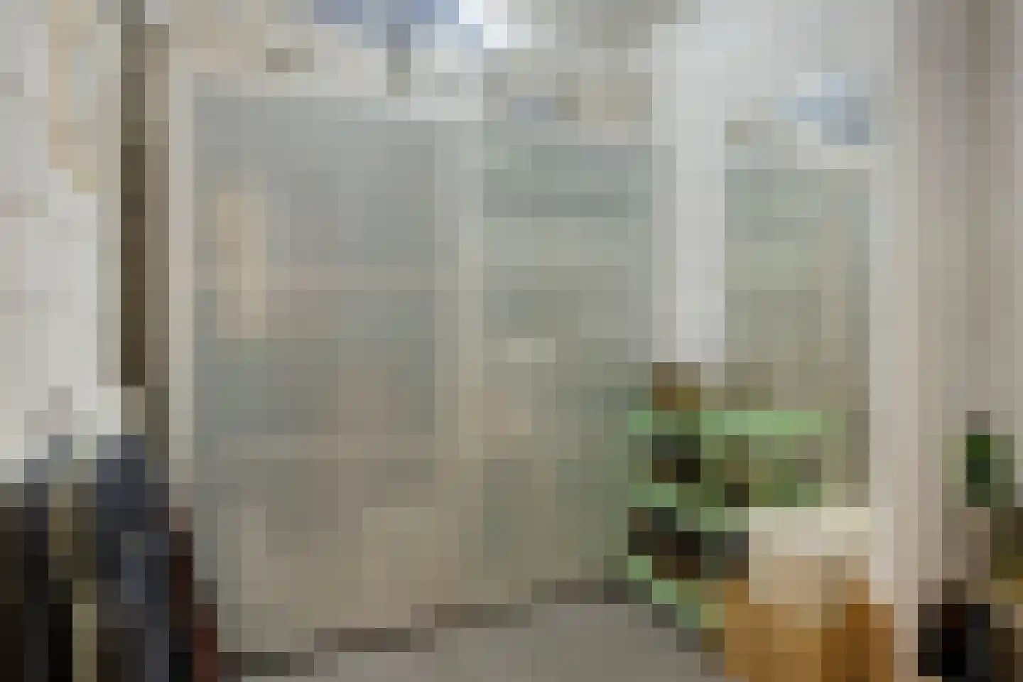 Friesewal 9 Zwolle thumbnail 30