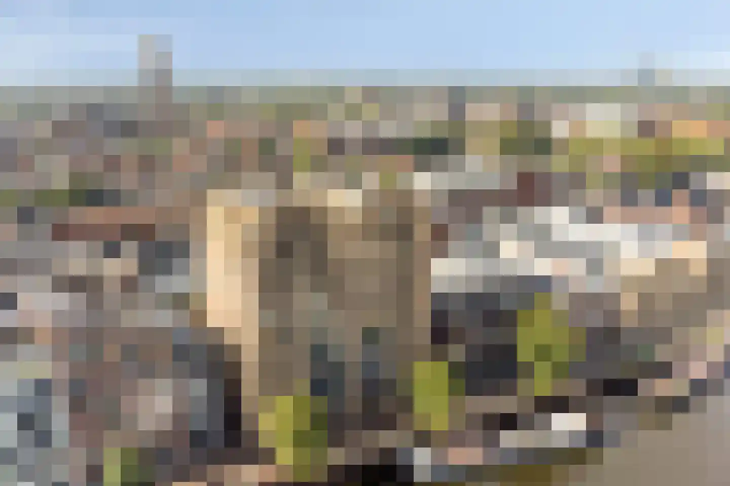 Friesewal 9 Zwolle thumbnail 32