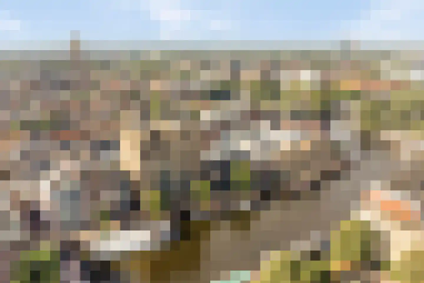 Friesewal 9 Zwolle thumbnail 33