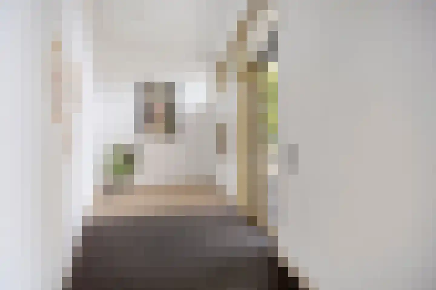 Friesewal 9 Zwolle thumbnail 7