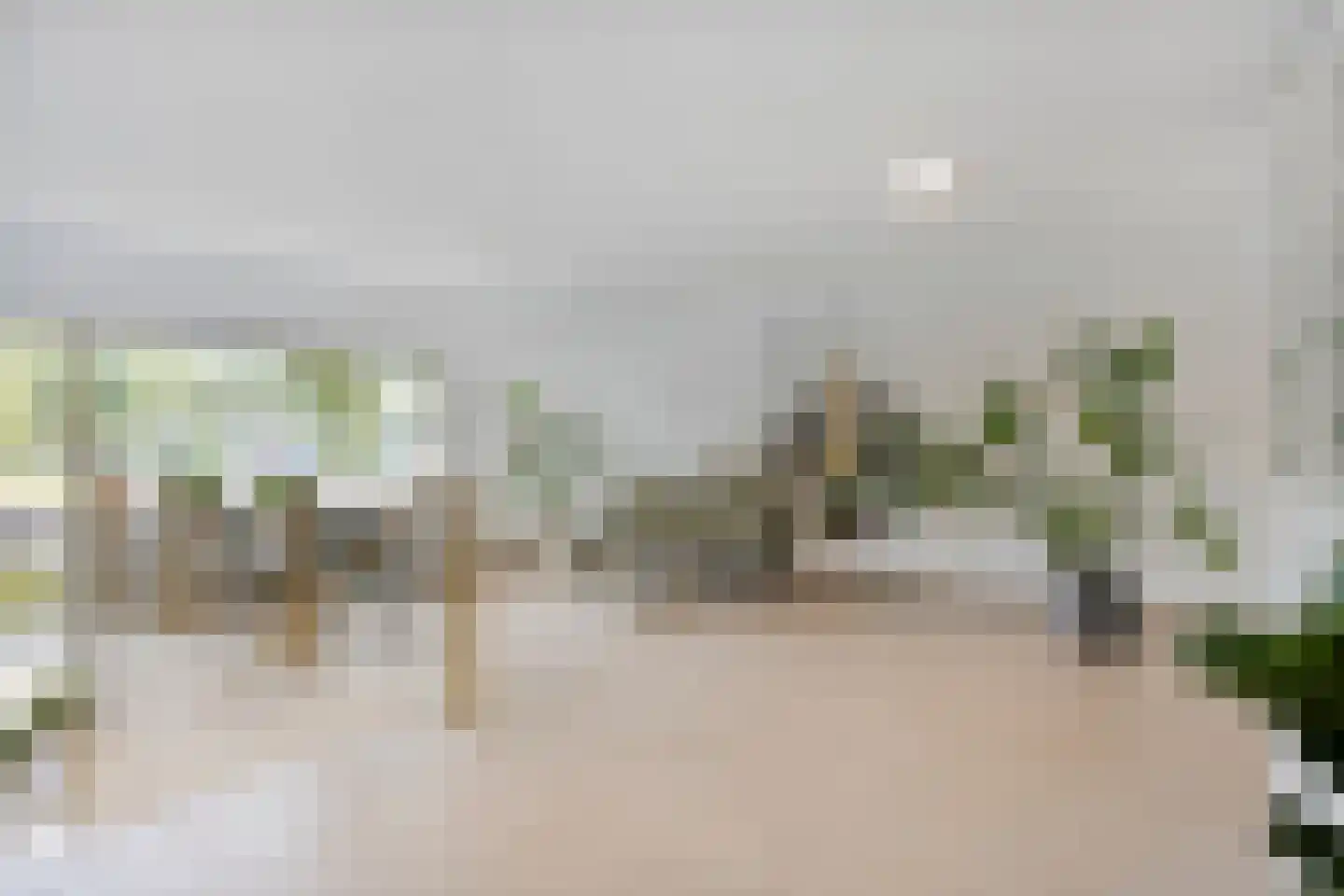 Friesewal 9 Zwolle thumbnail 9