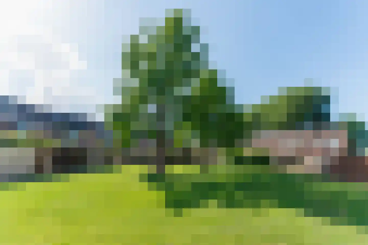 Frieseweid 10 a Enkhuizen thumbnail 25