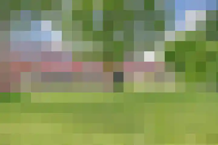 Frieseweid 10 a Enkhuizen thumbnail 26
