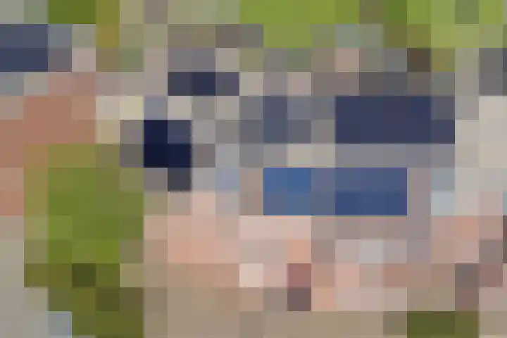 Frieseweid 10 a Enkhuizen thumbnail 27