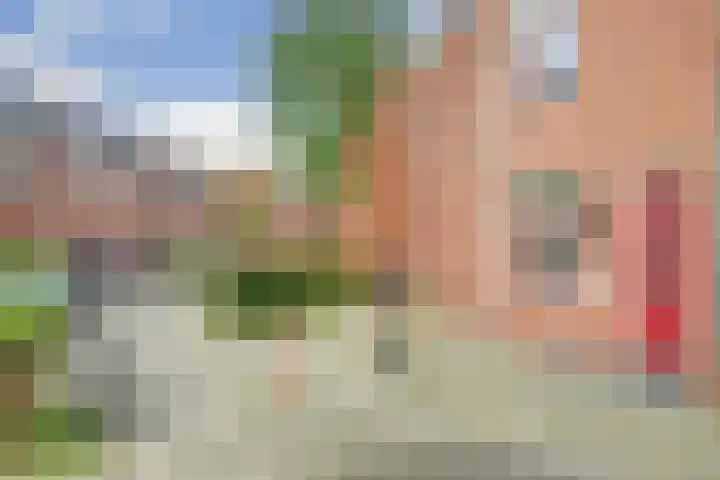Frieseweid 10 a Enkhuizen thumbnail 6