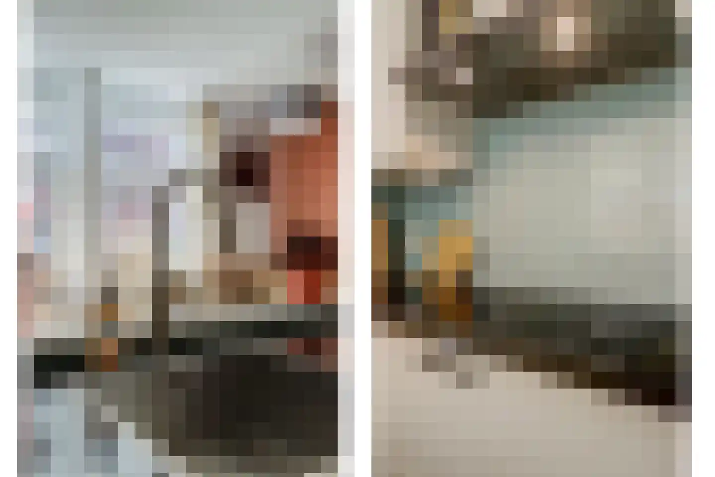 Frieseweid 10 Enkhuizen thumbnail 12