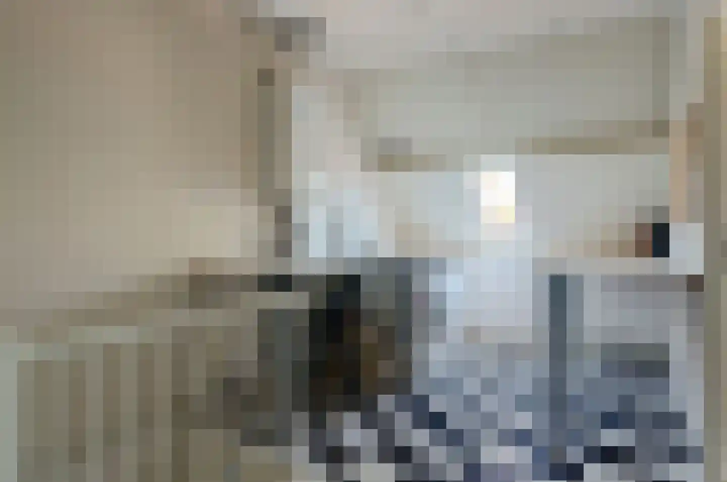 Frieseweid 10 Enkhuizen thumbnail 30