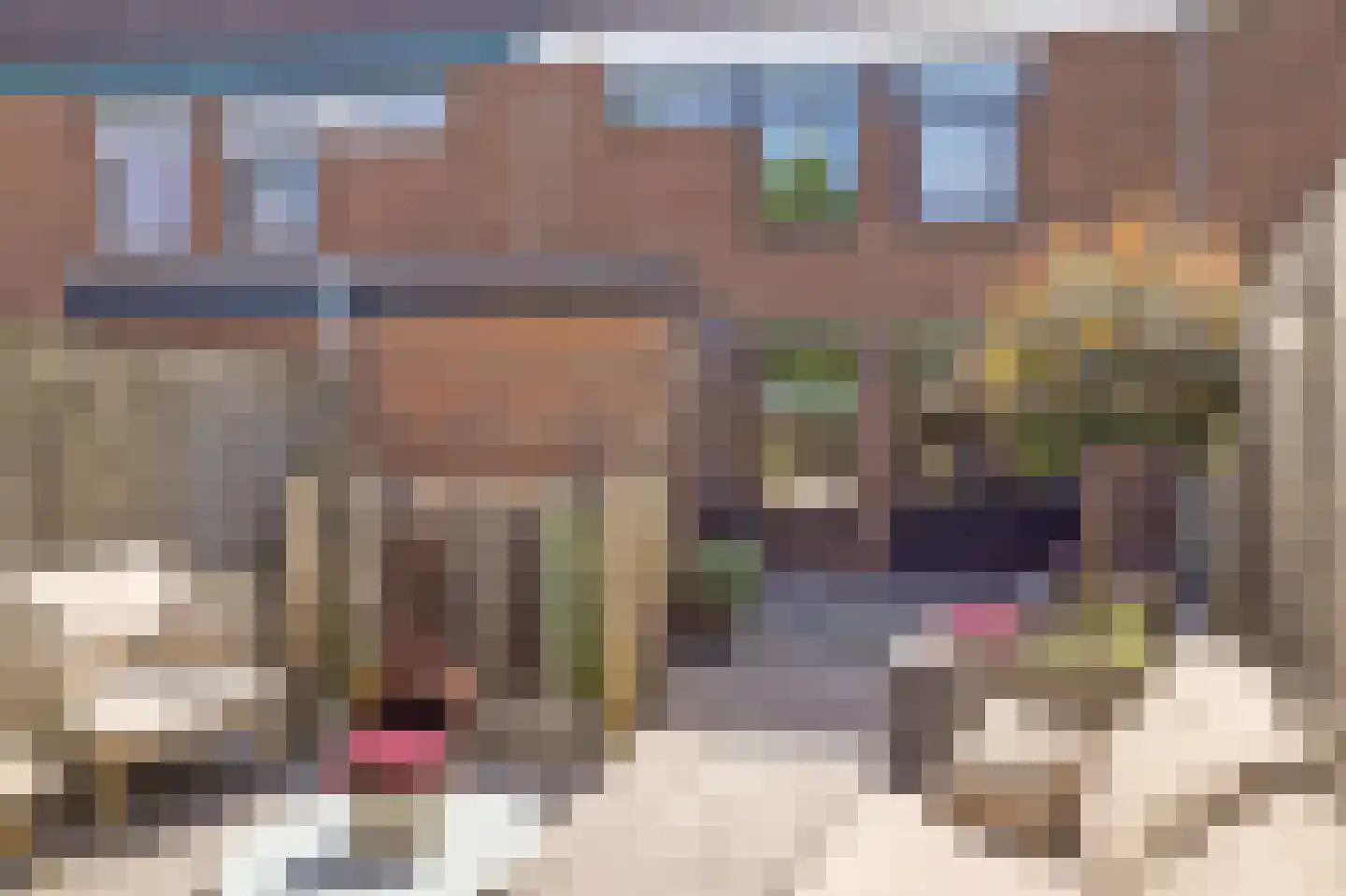 Frieseweid 10 Enkhuizen thumbnail 36