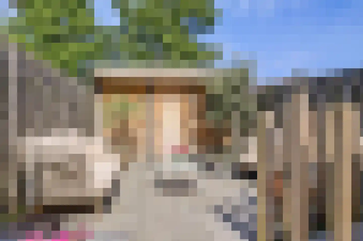 Frieseweid 10 Enkhuizen thumbnail 37