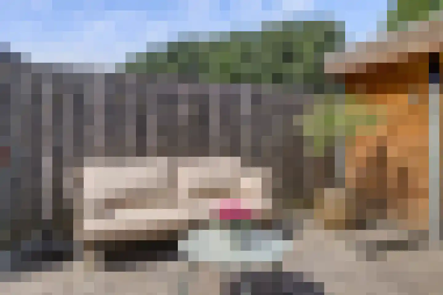 Frieseweid 10 Enkhuizen thumbnail 39
