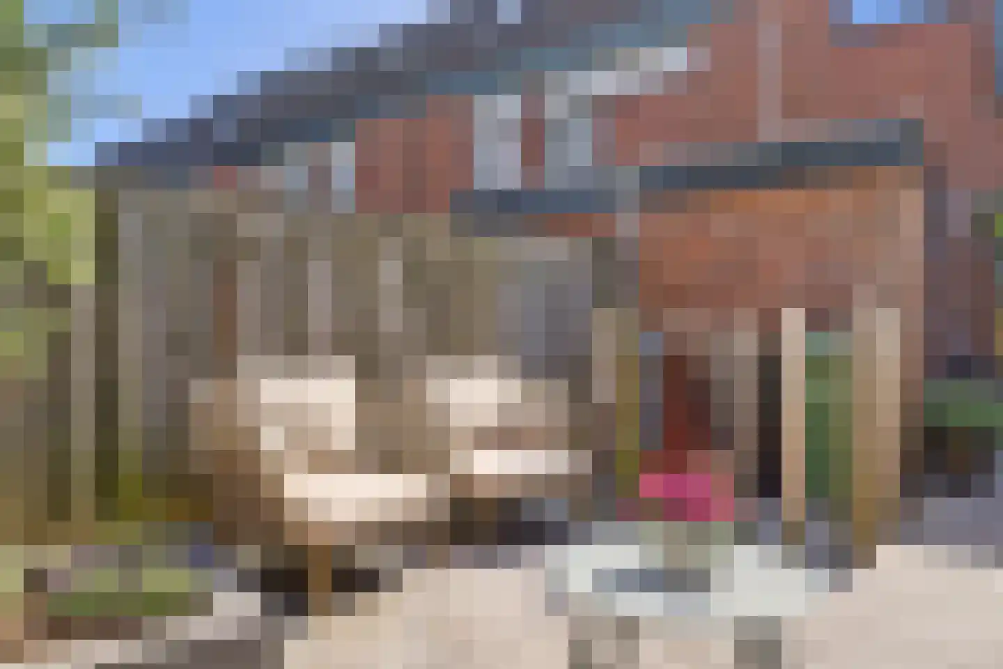 Frieseweid 10 Enkhuizen thumbnail 40