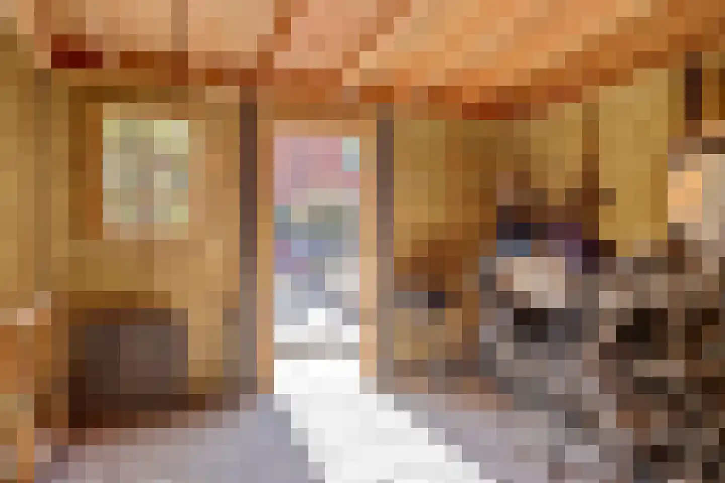 Frieseweid 10 Enkhuizen thumbnail 42