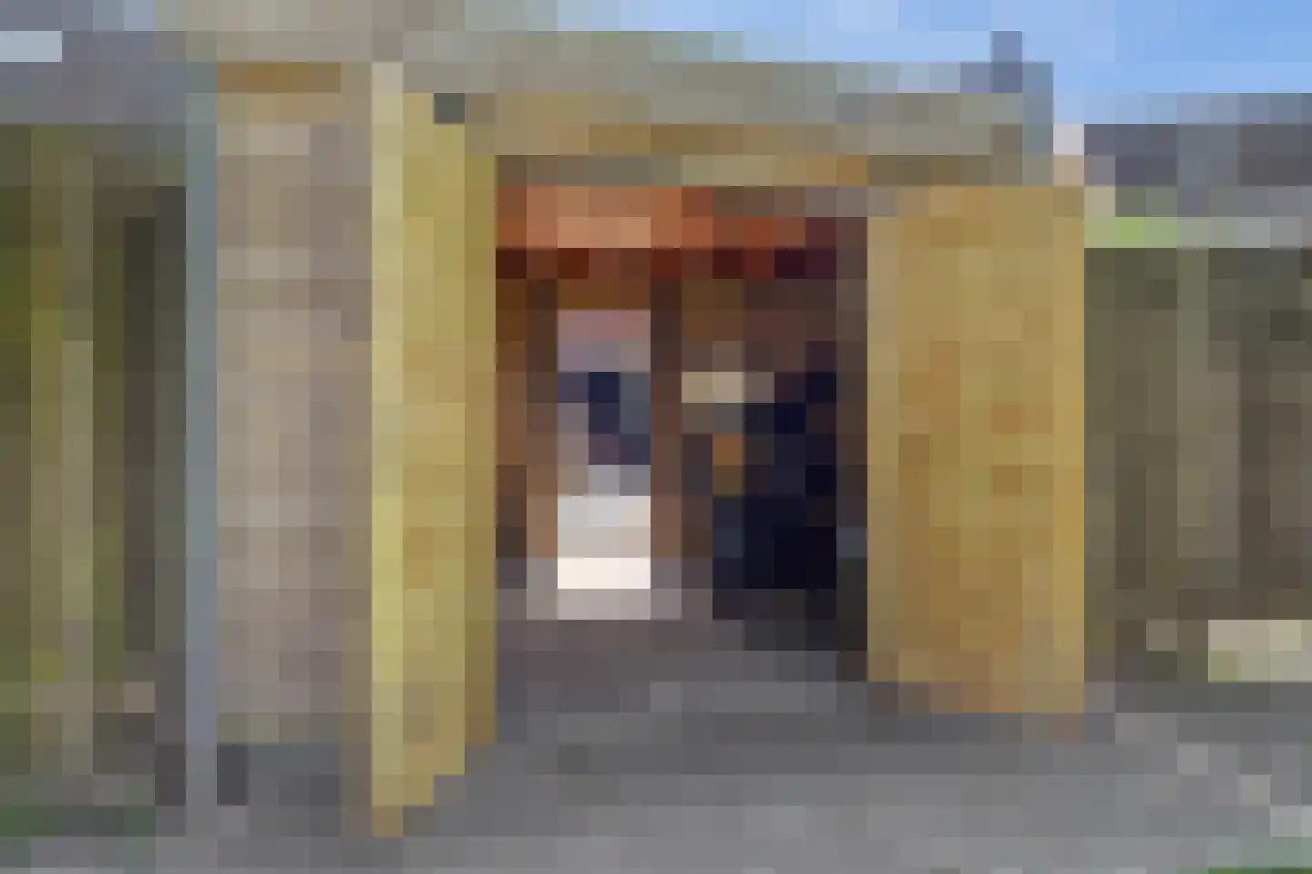 Frieseweid 10 Enkhuizen thumbnail 43