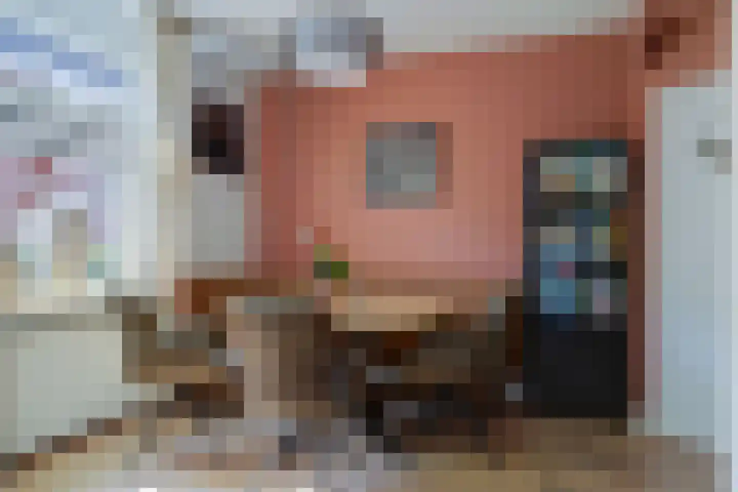 Frieseweid 10 Enkhuizen thumbnail 7