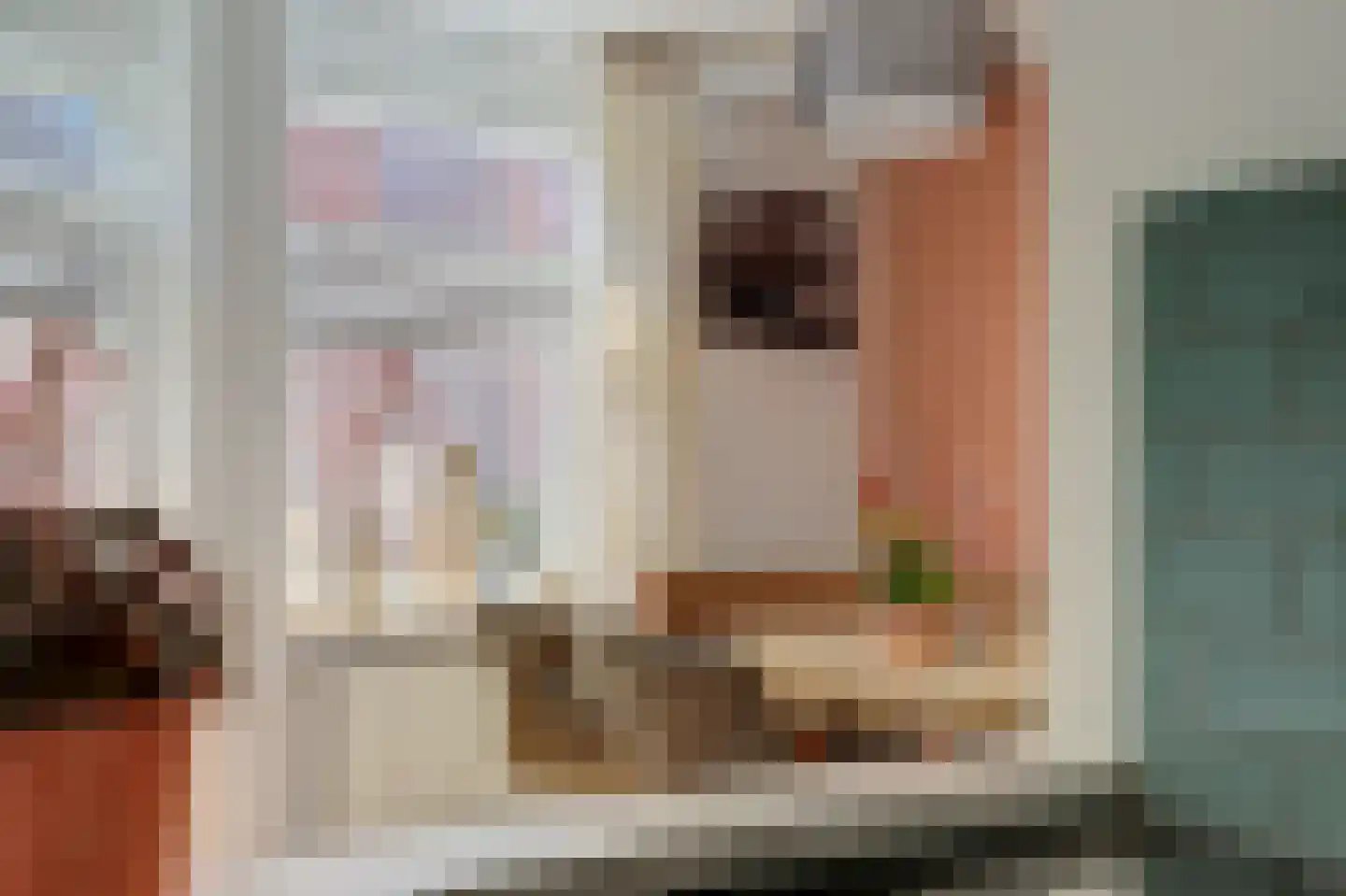 Frieseweid 10 Enkhuizen thumbnail 8