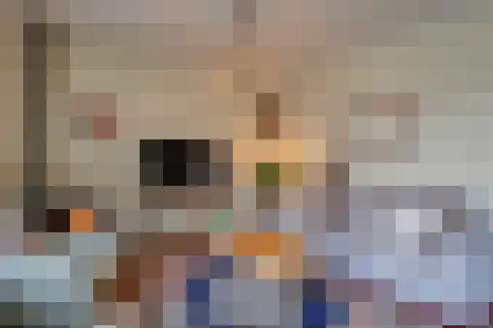 Frieseweid 6 Enkhuizen thumbnail 10