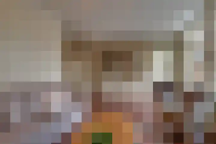 Frieseweid 6 Enkhuizen thumbnail 11